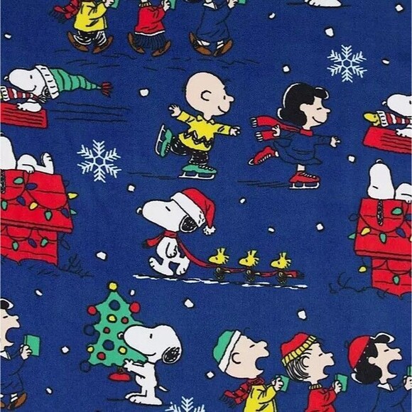 NWT Peanuts Family Matching PJ Infant Sleeper Size 18 M - Picture 4 of 4